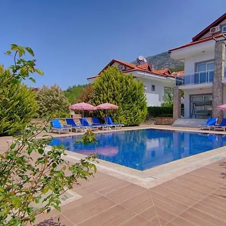 ölüdeniz Ovacıkta 5 Yatak Odalı, 12 Kişilik , Müstakil Havuzlu 2 * Fethiye