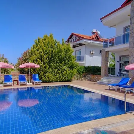 Oludeniz Ovacikta 5 Yatak Odali, 12 Kisilik , Mustakil Havuzlu 2 别墅